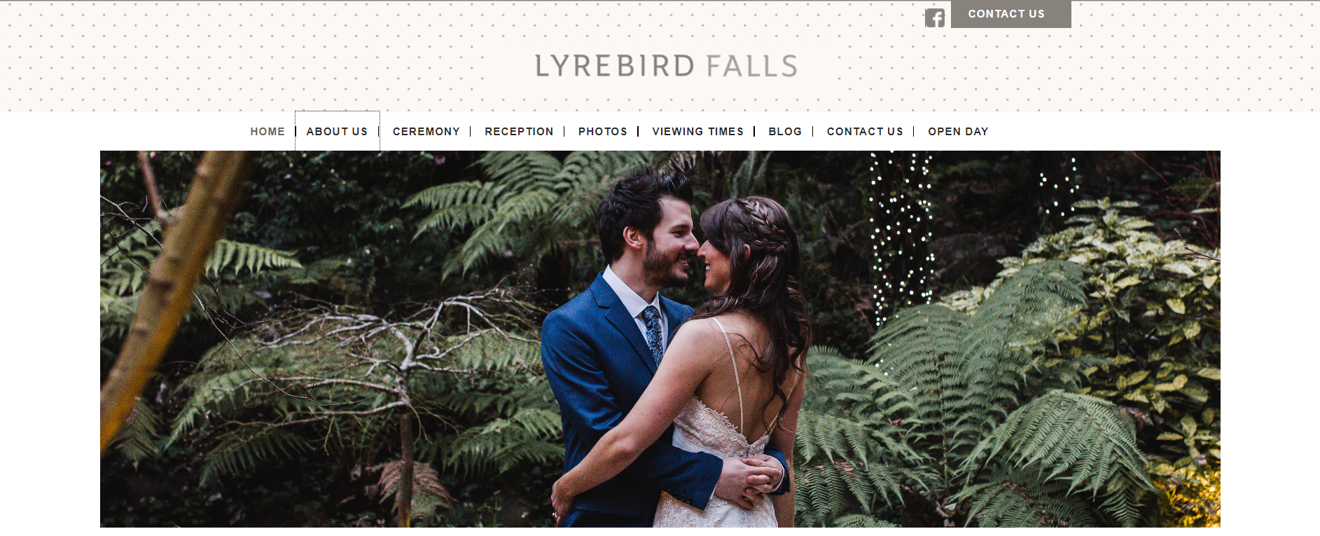 Lyrebird Falls Accommodation burwood melbourne 