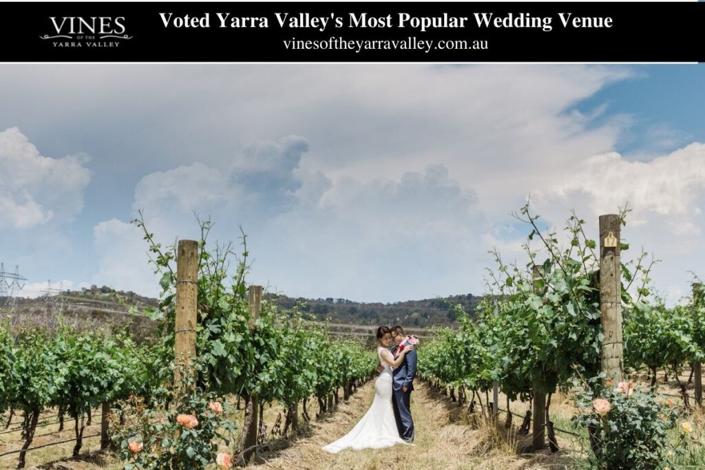 Yarra Valley Most Popular Wedding Venue (23)