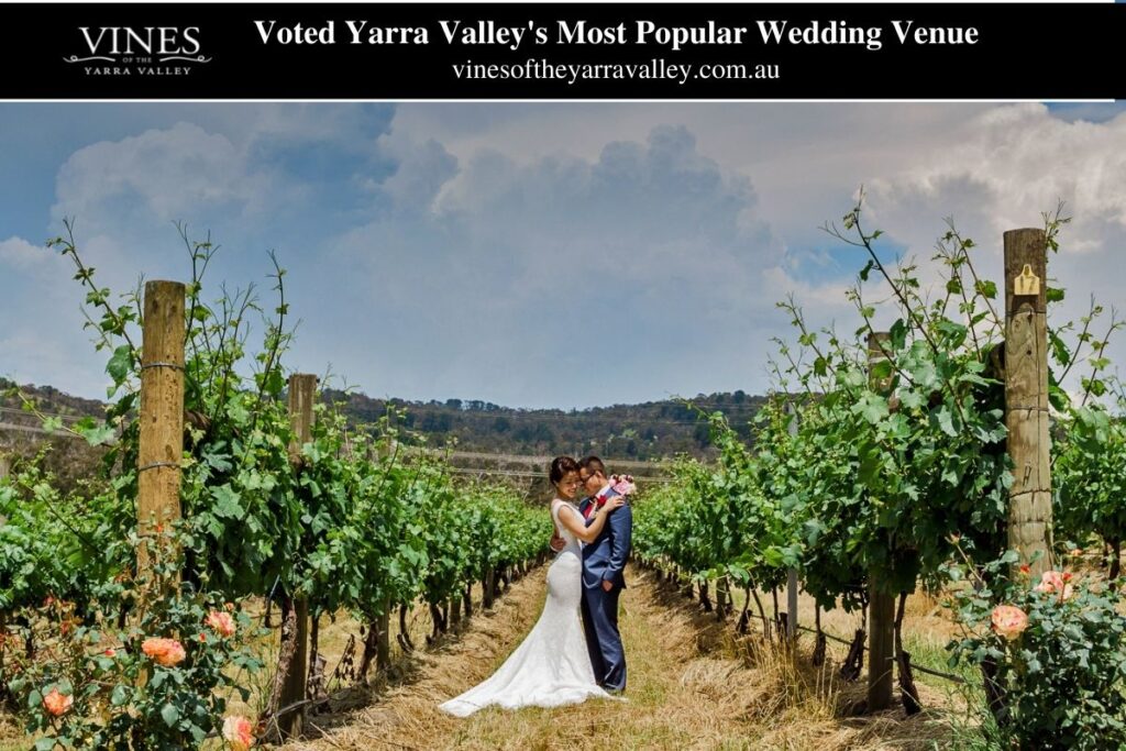 Yarra Valley Most Popular Wedding Venue (5)