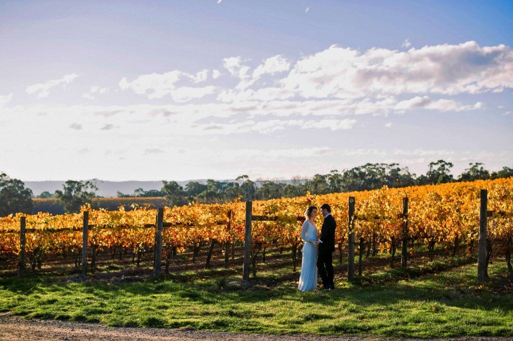 vines of the yarra valley