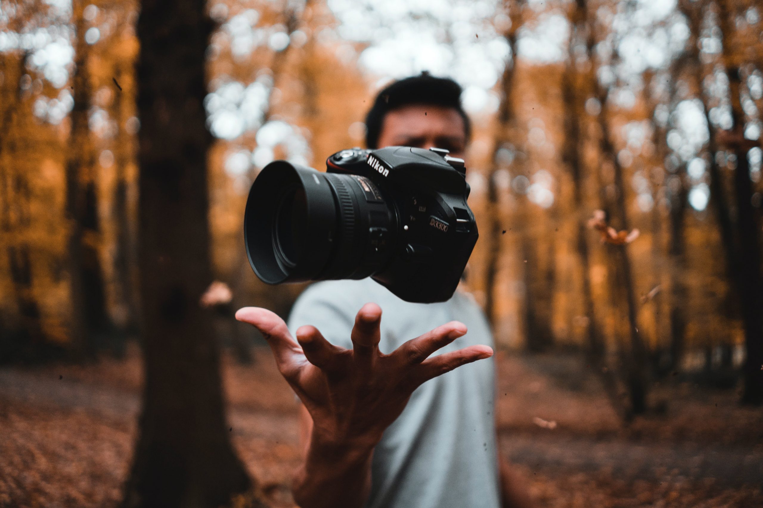 What Are The 12 Principles Of Design In Photography 